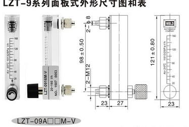 LZT-0806M面板式流量計(jì)